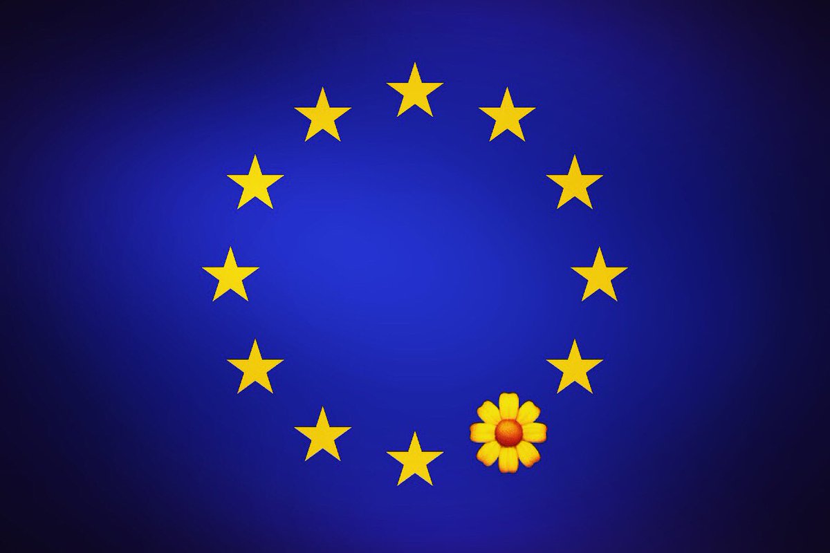 Dear EU,
Please take care of our ⭐️. 
I hope one day we can be back to play a part in the EU journey, one of harmony &amp; unity between nations; citizens with a freedom of movement, working together for peace, social &amp; economic improvement, learning &amp; mutual respect for all.  #EU