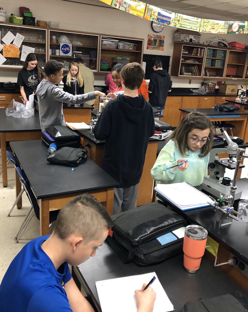 cheer4science's tweet photo. Microscope 🔬 lab day is always fun. I love hearing all the comments. “Whoa! That’s cool!” 🥰 “Science is weird! But kinda cool too!” 😁 “Hey, *friend* you should look at this one!” 🦠 
@WBMS5 https://t.co/rDPp79nBdh