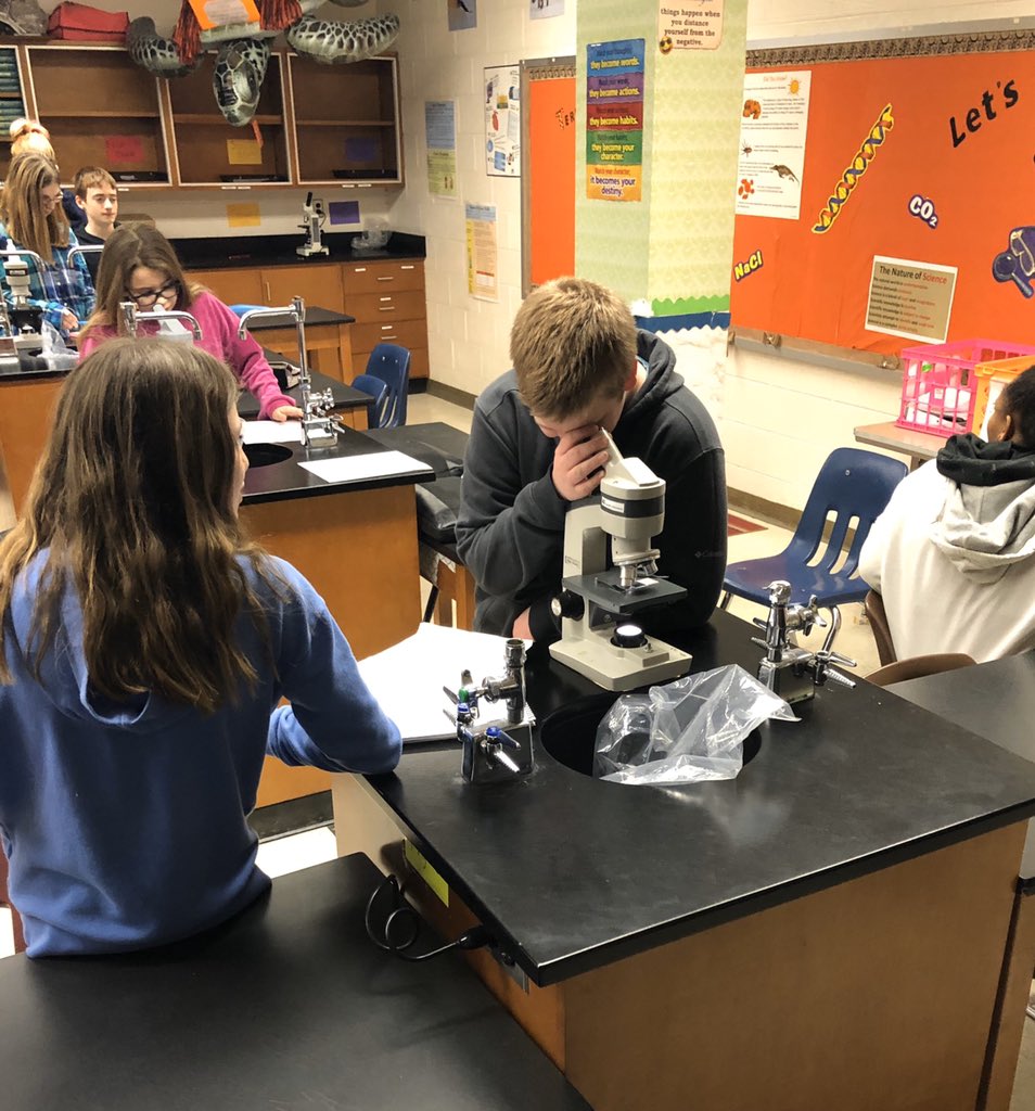 cheer4science's tweet photo. Microscope 🔬 lab day is always fun. I love hearing all the comments. “Whoa! That’s cool!” 🥰 “Science is weird! But kinda cool too!” 😁 “Hey, *friend* you should look at this one!” 🦠 
@WBMS5 https://t.co/rDPp79nBdh