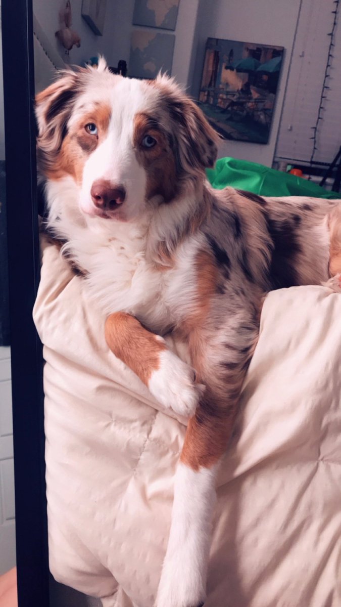 Content from jaxerie