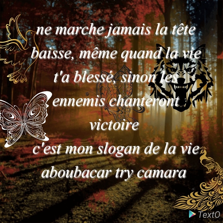 try_palmer's tweet image. 