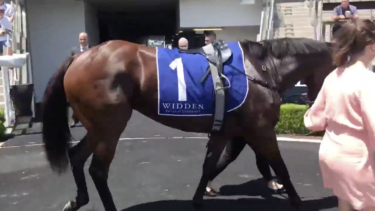 widdenstud's tweet photo. A dominant win by the brilliant AWAY GAME in today’s Group 3 WIDDEN STAKES at Randwick. She’s a star!🌟
Many congrats to @mark_mathiesen @HannahMathiesen & @cmaherracing @annabelneasham
#Widden https://t.co/be46MLoP5p