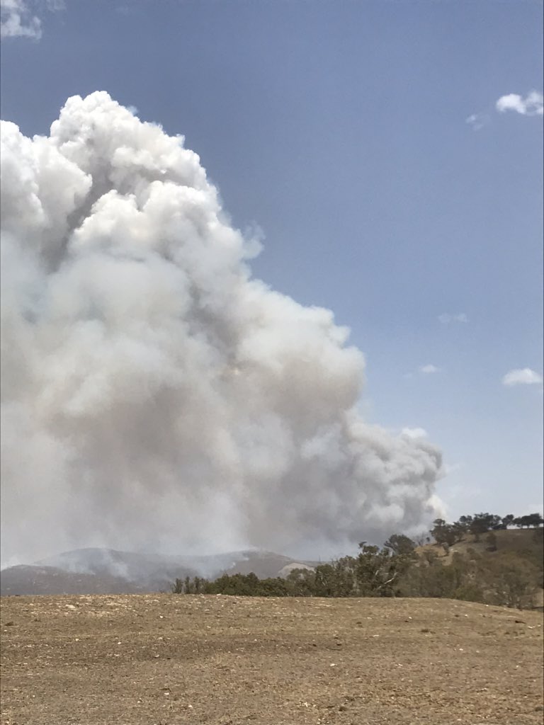 The Orroral fire burning north of the Tharwa, a large plume of grey smoke into a sunny sky