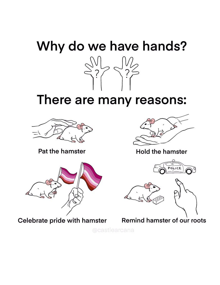65PinkRoses's tweet photo. My big sister (@castlearcana) just remade my favourite meme for me with Rosie and I LOVE it 💖 https://t.co/pJEFI69W23