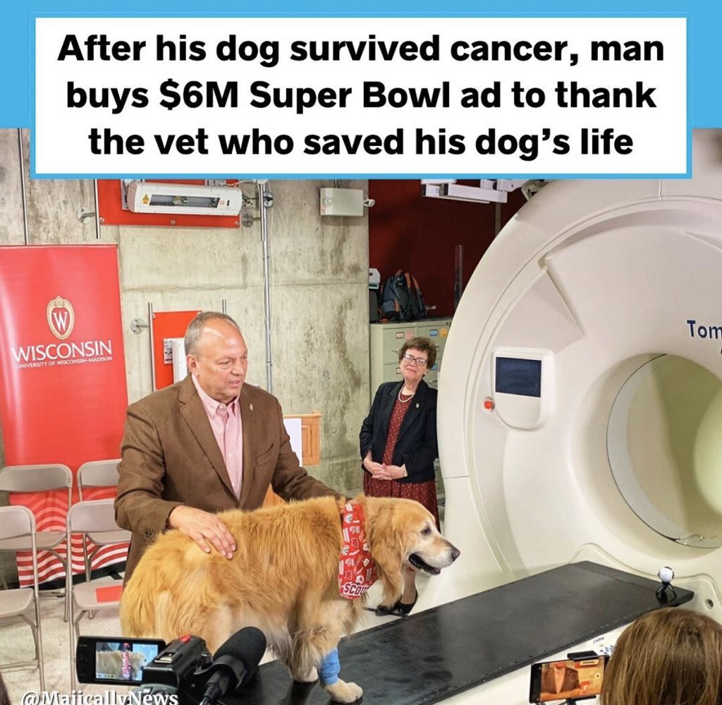 gabby_phx's tweet image. youtu.be/gckObDeYpAA #PetsMakeaDifference