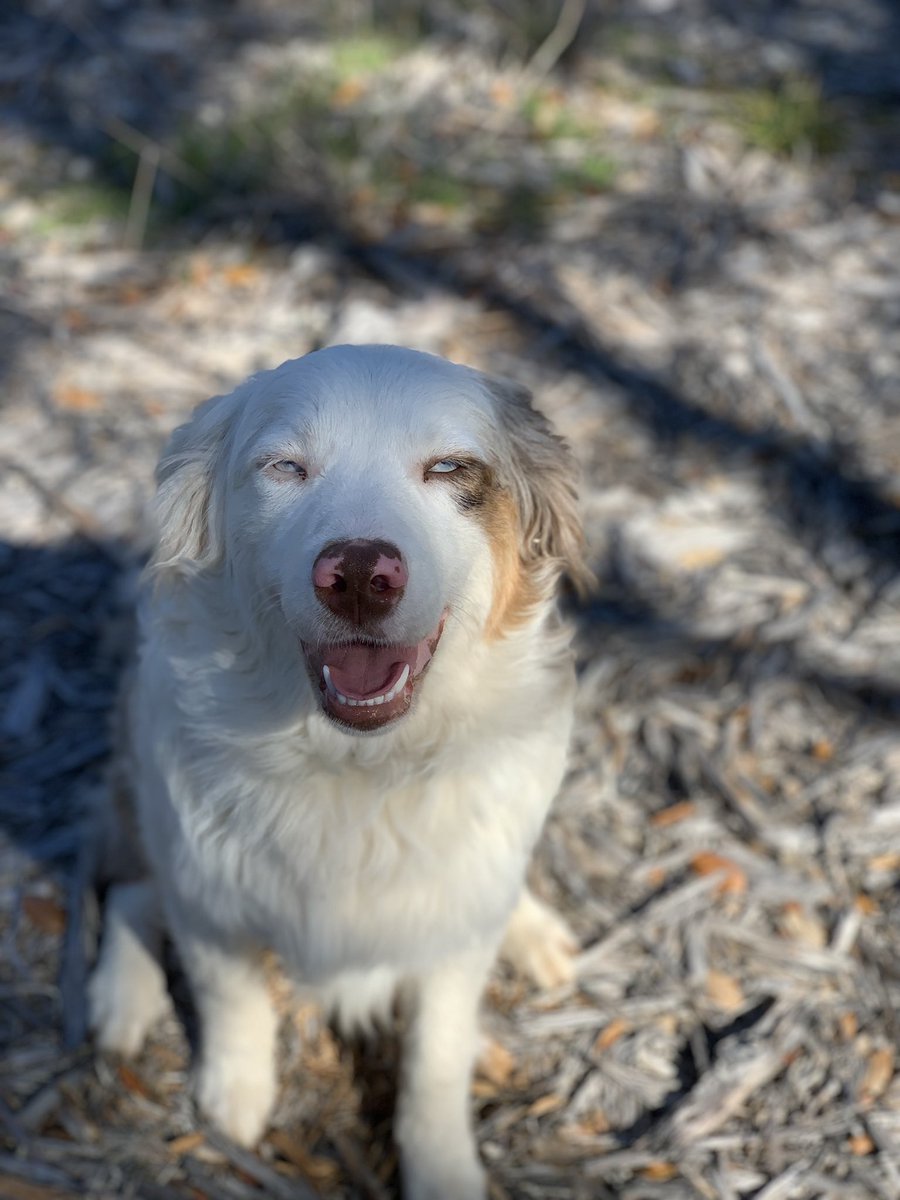 Content from jaxerie