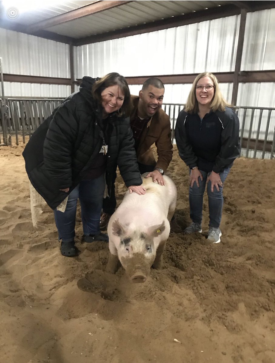 Justin_D_James's tweet photo. No one told me that being an AP would mean playing in the pig-pin! We’ve challenged our students to grow on their MAP scores, and when they do we’ll kiss a pig. Meet George, The Pig. #MyMISD #MalvernEs #MalvernMagic https://t.co/zjA6WEga9m