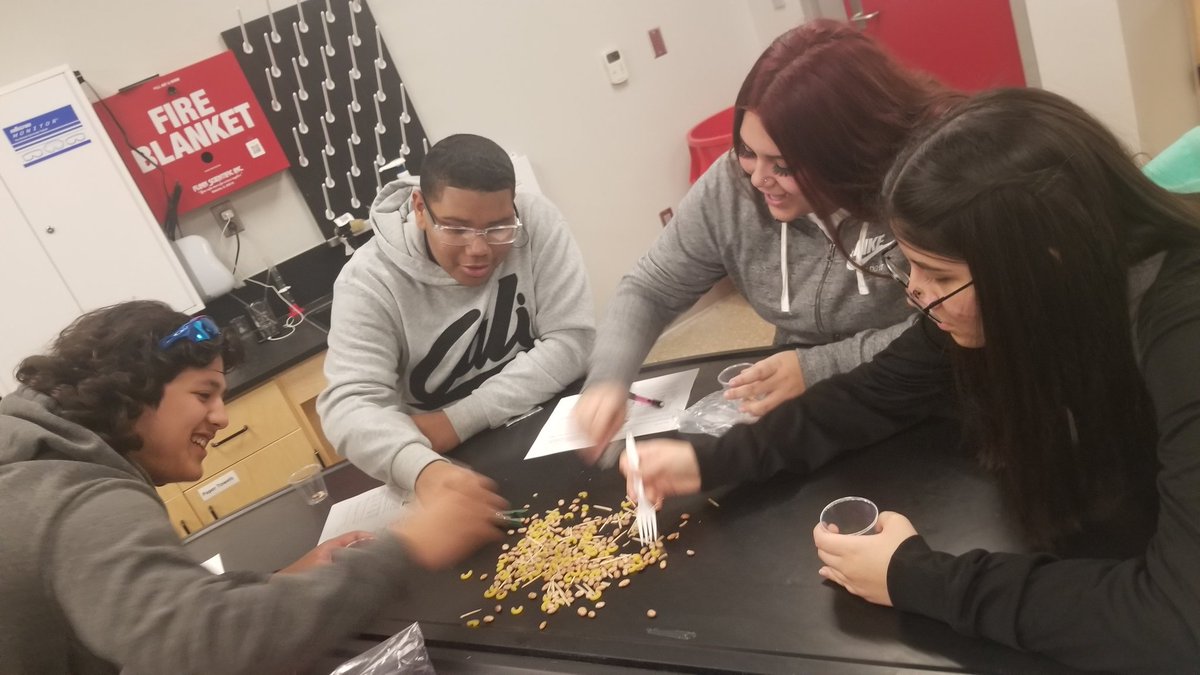 KristiW23529662's tweet photo. Battle of the beaks! One of the best way to learn about natural selection and adaptations. Which beak will survive to pass on their genes and which beak will die from starvation? @ECISDScience #ecisdsciencerocks #pickedu https://t.co/256i7S5eUX