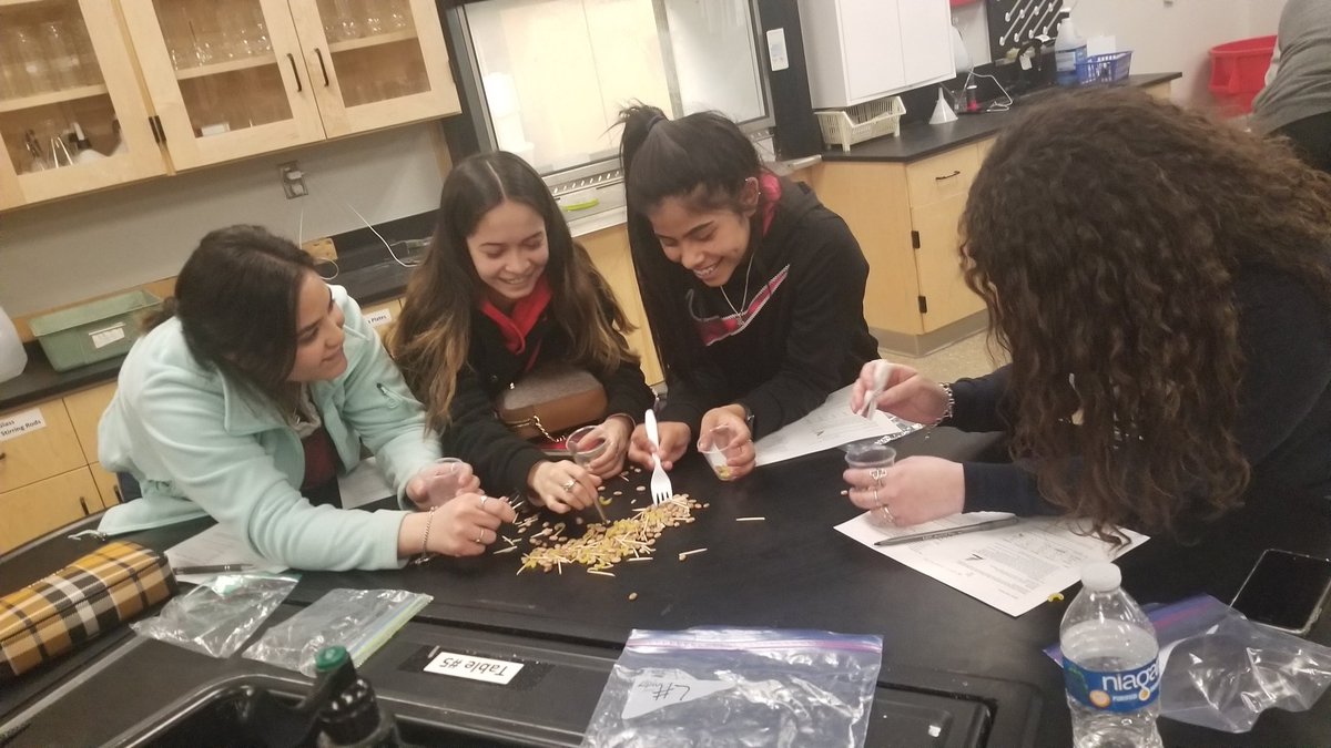 KristiW23529662's tweet photo. Battle of the beaks! One of the best way to learn about natural selection and adaptations. Which beak will survive to pass on their genes and which beak will die from starvation? @ECISDScience #ecisdsciencerocks #pickedu https://t.co/256i7S5eUX