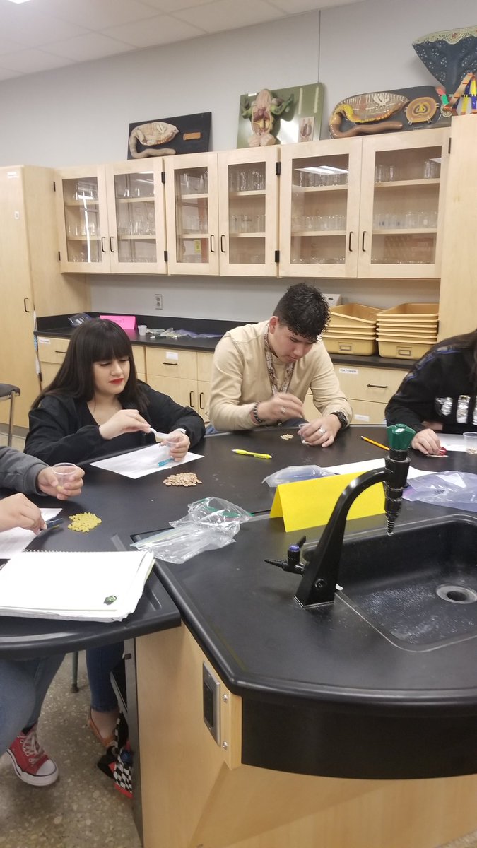 KristiW23529662's tweet photo. Battle of the beaks! One of the best way to learn about natural selection and adaptations. Which beak will survive to pass on their genes and which beak will die from starvation? @ECISDScience #ecisdsciencerocks #pickedu https://t.co/256i7S5eUX