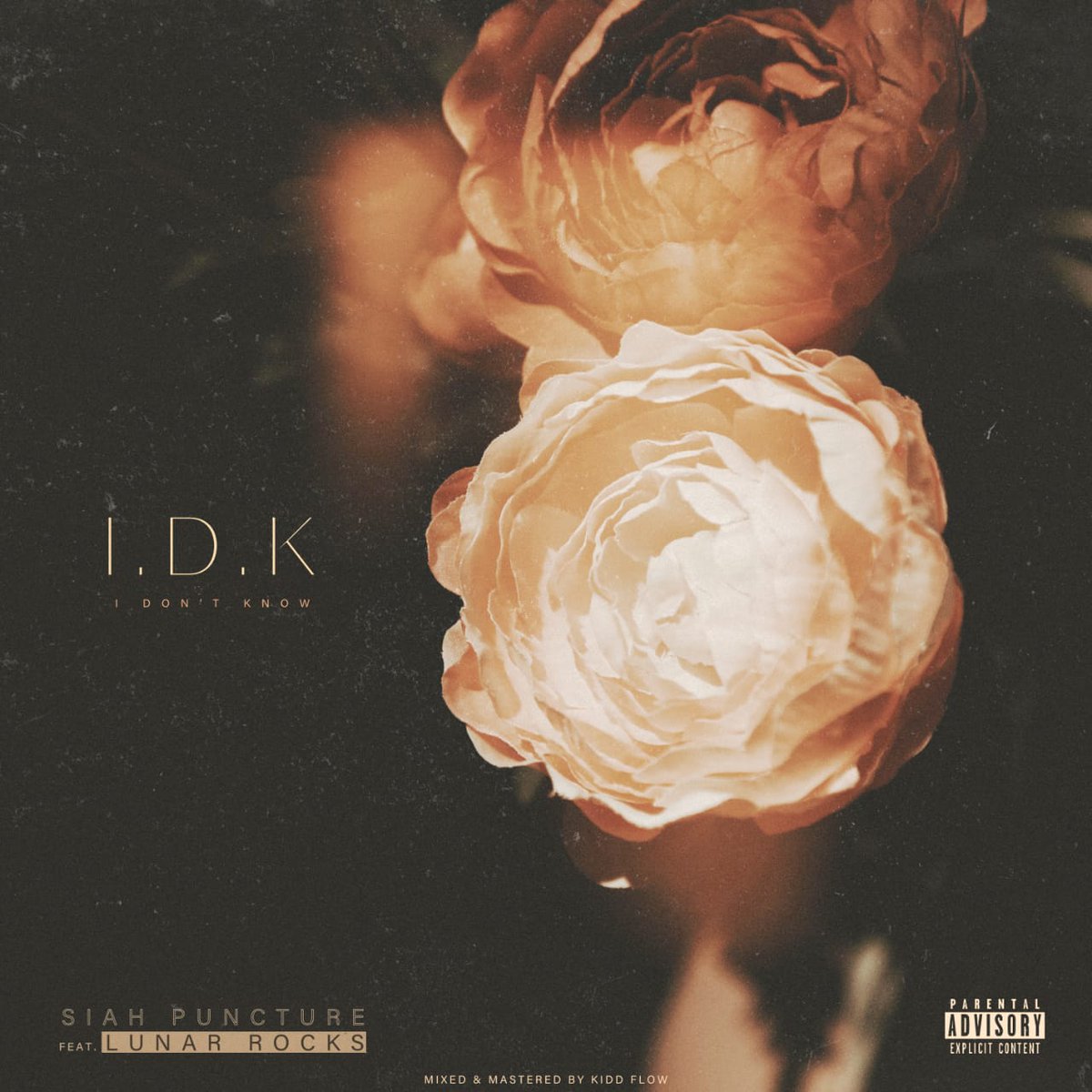 Lunar_Rocks's tweet photo. Greetings💞 
As promised, Your Bouy Siah Puncture Just dropped a single 
Titled: IDK (Ft. Lunar Rocks)🎶
Click on the link below to download this Jam🔥🔥

For Streaming Only... Click On The Link Below:

https://t.co/EBpiosRawZ

Your Support Is Highly Appreciated 🙏 Please share https://t.co/WIjHEPzz9N