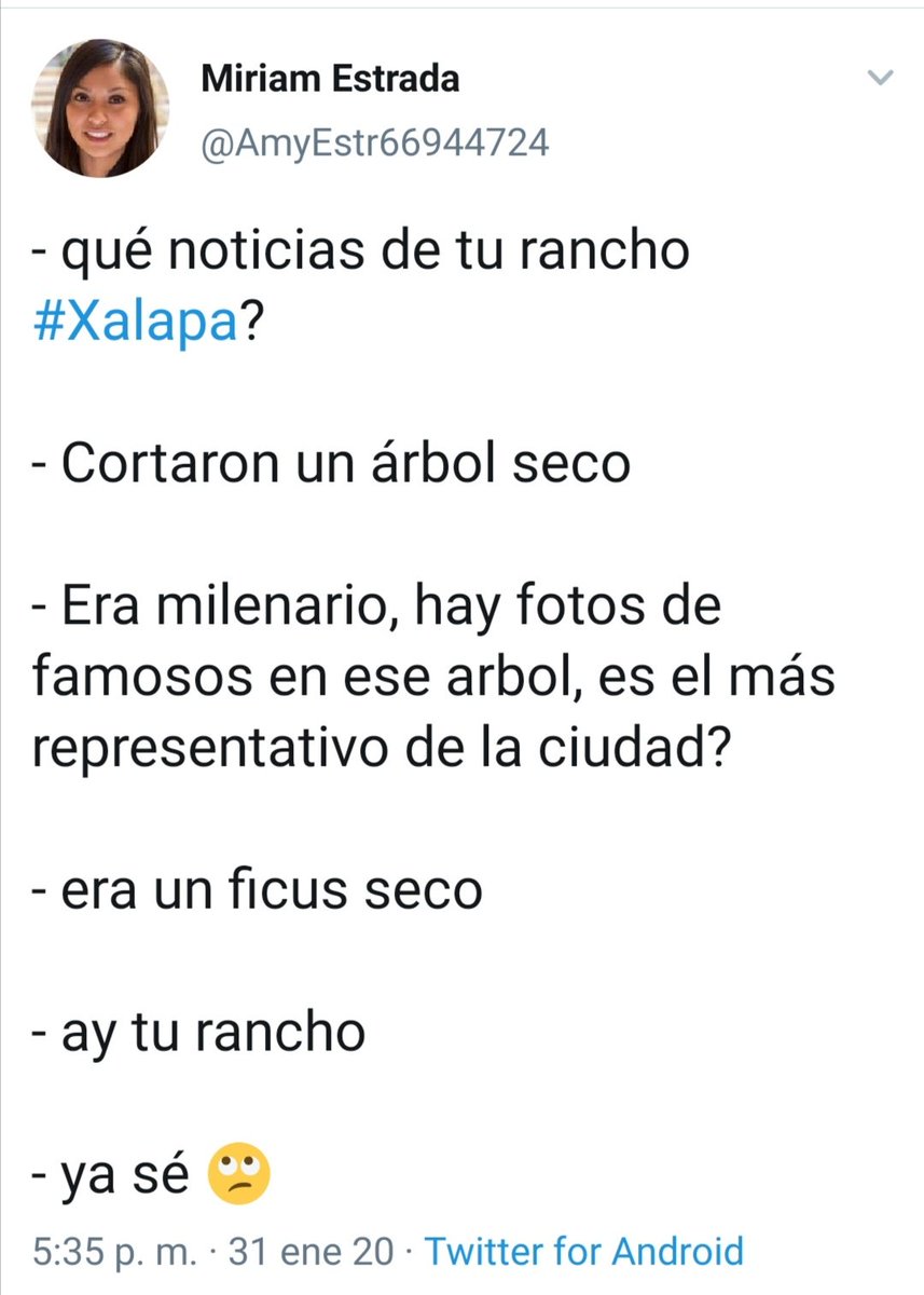 lulu_reportera's tweet photo. Que @AmyEstr66944724 anda aquí para defender a don Hipo JAJAJAJAJAJAJAJA
#PuroBot #DeAComo #XalapaPaga https://t.co/XqizHrYs8r