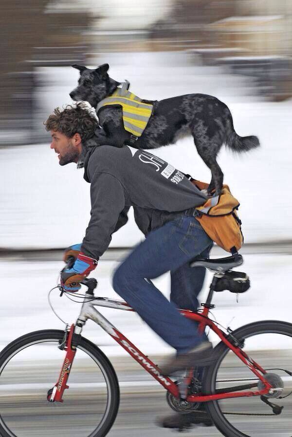 Man's best friends - his dog and his bike - Bikeroo Team