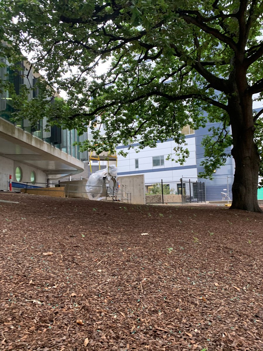 Elekta_ANZ's tweet image. The first @Elekta Unity in Melbourne being lifted over the tree of life at the Olivia Newton-John Cancer Wellness and Research Centre #MRLinac #Unity #ElektaUnity #RadiationTherapy @FarshadForoudi @dr_khor