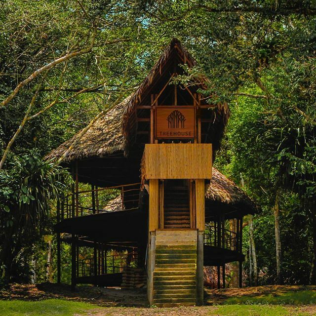 treehouse_lodge's tweet image. Did you know that #treehouselodge is a self sustainable Amazon Lodge? ♻️• Sabias que Treehouse Lodge es un hotel auto sostenible? 🇵🇪• •
•
#traveling #travelers #travelgram #exploring
#explorer #doyoutravel #goexplore #travelmore
#lovetotravel #wonderfulplaces #staywithus…