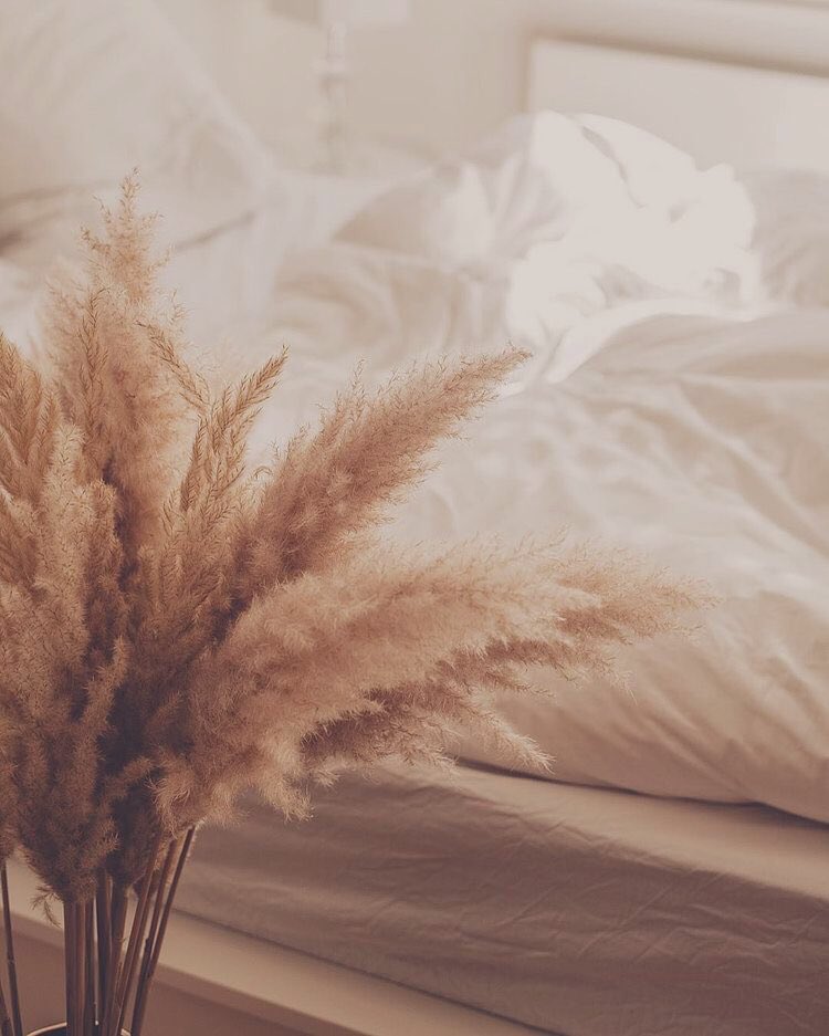 _laramk's tweet photo. .         ———— ⊰ ♡ ⊱ ————

𝑌 𝑎𝑠í 𝑣𝑎 𝑝𝑜𝑟 𝑠𝑢 𝑐𝑎𝑚𝑖𝑛𝑜, 𝑑𝑖𝑠𝑡𝑟𝑎𝑦𝑒𝑛𝑑𝑜 𝑎 𝑙𝑎 𝑟𝑎𝑧ó𝑛, 𝑒𝑠𝑒 𝑡𝑟𝑒𝑛 𝑠𝑖𝑛 𝑟𝑒𝑎𝑙 𝑑𝑒𝑠𝑡𝑖𝑛𝑜 𝑞𝑢𝑒 𝑠𝑒 𝑙𝑙𝑎𝑚𝑎 𝑐𝑜𝑟𝑎𝑧ó𝑛. https://t.co/WGTZHgz0Y4