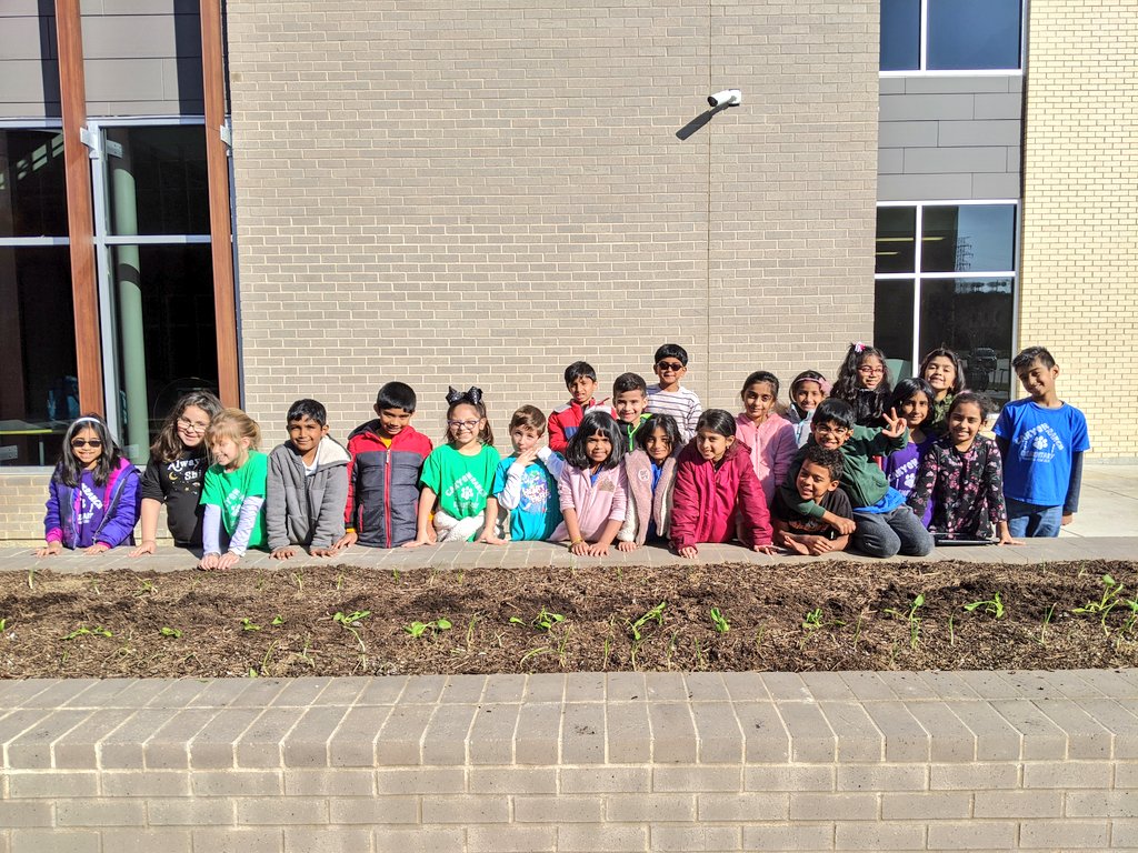 DeskinDLS's tweet image. We now have spinach in the gardens thanks to these second graders!  #CREcoyotes #CultivatingCoyotes