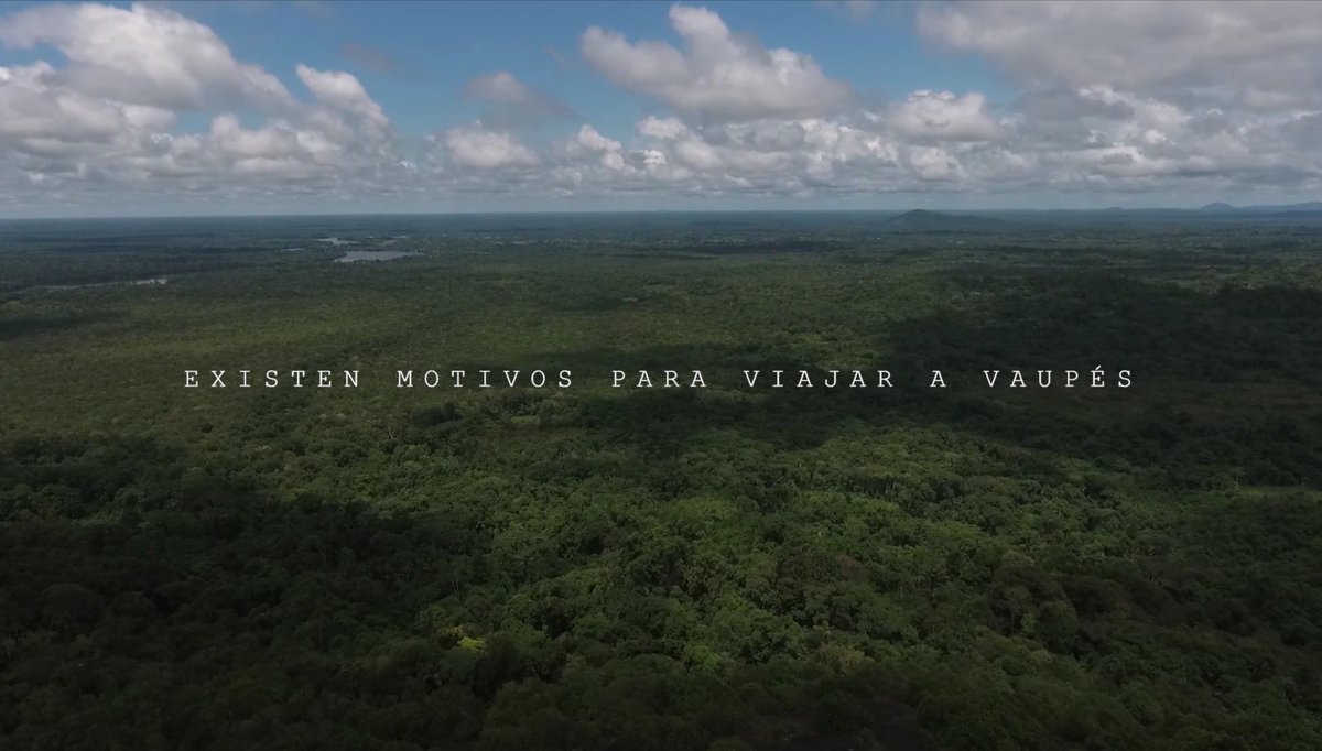 CaminanTr3s's tweet photo. Nos convencimos de que Vaupés es un destino para gente que se lo merece. Si te encanta la naturaleza y compartir con diferentes etnias indígenas, este es tu lugar. https://t.co/jAjdT7RKyX