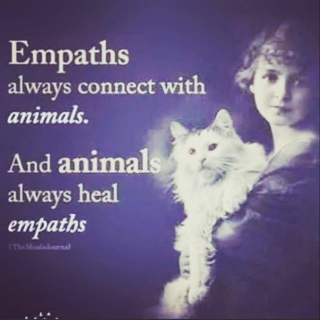trudybrookes2's tweet photo. Empaths love animals and animals love empaths 🐶🐱🐼🐻🐼 #Empaths
#Empaths&amp;Animals
#AnimalReikiPractitioner 
#AnimalCrystalHealing
#AnimalLover
#PetBereavementCounsellor 
#PetLoss
#Cats 
#Dogs
#AnimalHealer
#EnergyWorker
#AnimalsHaveFeelings
#AnimalsA… https://t.co/fokZi8V1Dm https://t.co/maqmC7Ugpm