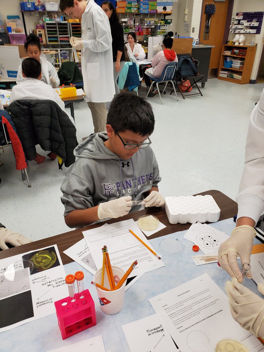 Iteach5th3's tweet photo. Painting bacteria with green fluorescence. We can't wait to see how these turn out! @HHMIJanelia @SUG_STEAM @SugarlandES https://t.co/XEkqTeLleb