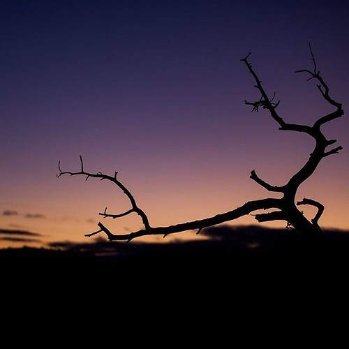 brownmansal's tweet photo. Sunset from Tsankawi. . . . . . #nmtravel #nmnomad #nmoutside #nmoutdoors https://t.co/56idlSdXV4 https://t.co/7FItWYoTdH