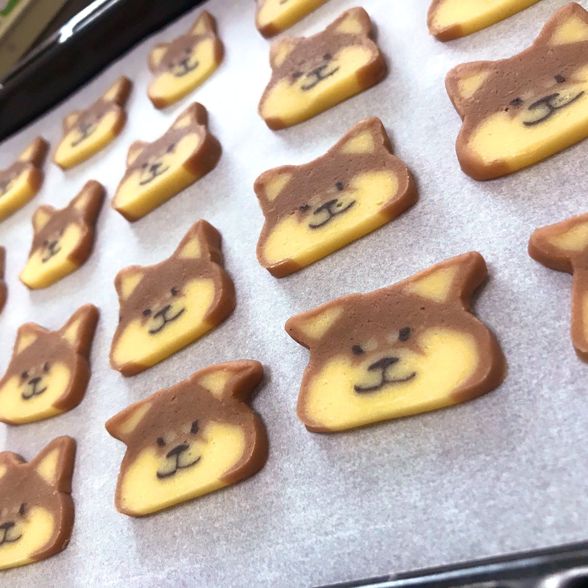 Twitter 上的 シン M Myhobbies 初めまして 柴犬クッキー作ってみたいのですが もしよろしければ組み立て方を教えていただけませんか このクッキー可愛すぎます Twitter