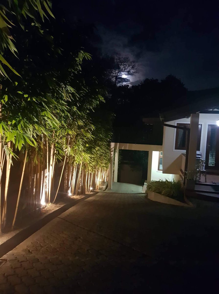 LankaVillas's tweet photo. Best Holiday Homes In Galle To Experience The Nature At Its Best
#holidayhomes #galle #nature #travel #holiday #tourism #villasingalle https://t.co/CWOcjJleyJ