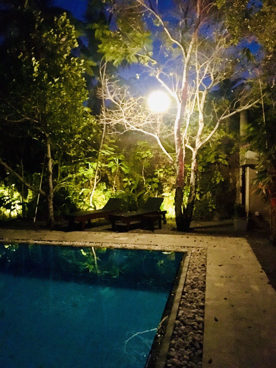 LankaVillas's tweet photo. Best Holiday Homes In Galle To Experience The Nature At Its Best
#holidayhomes #galle #nature #travel #holiday #tourism #villasingalle https://t.co/CWOcjJleyJ