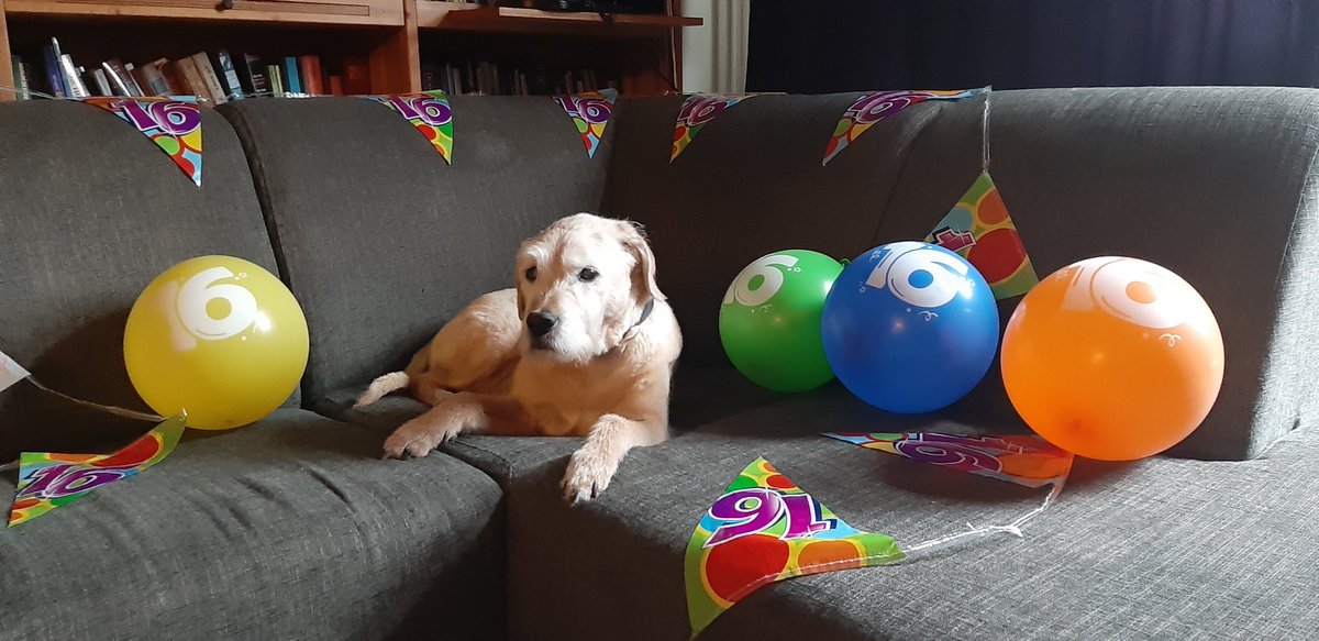 HondHarrie's tweet photo. Sweet sixteen. https://t.co/jFwQsxYxpV
