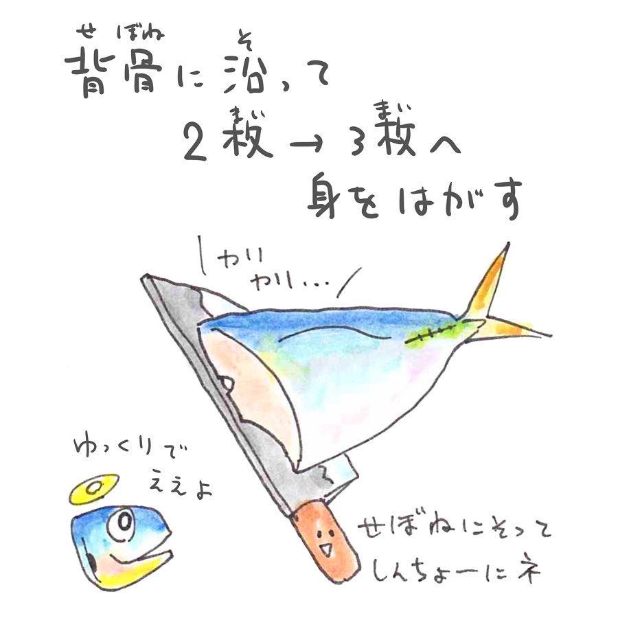 イラストで解説!
誰でもできる三枚おろし?#うおにい 