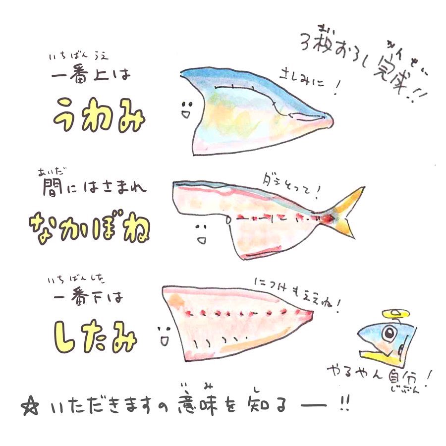 イラストで解説!
誰でもできる三枚おろし?#うおにい 