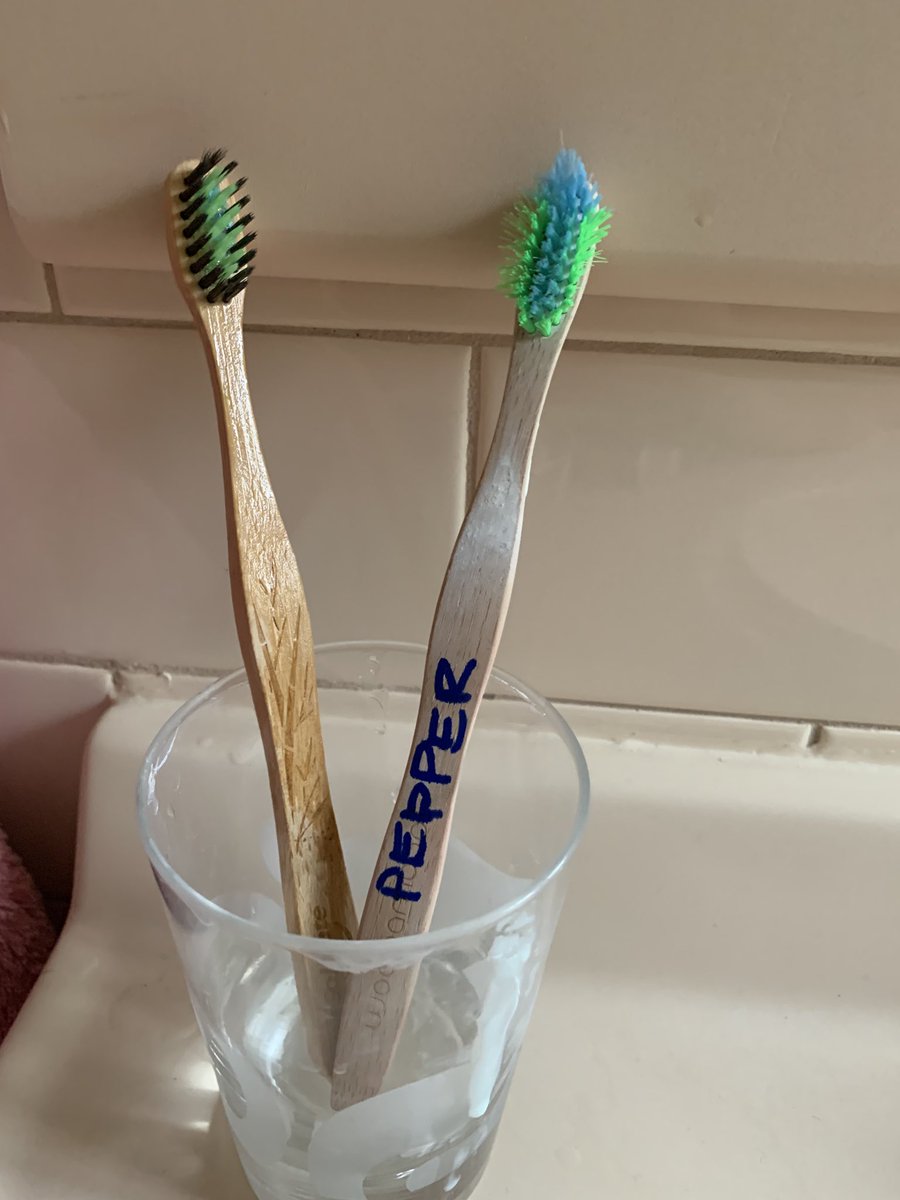 I don’t usually label things...but...(hint: Pepper is my assistance dog)