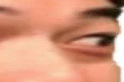 Castro1021 tweet media