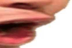 Castro1021 tweet media