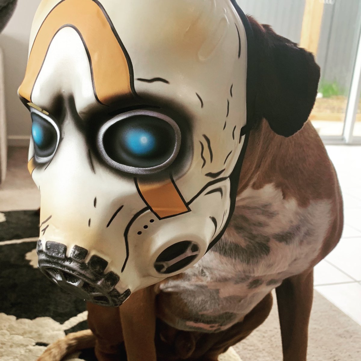 mattexiled's tweet image. The meat puppies, they come to the slaughter, like children to an ice cream truck! Psycho Doggo Butters.