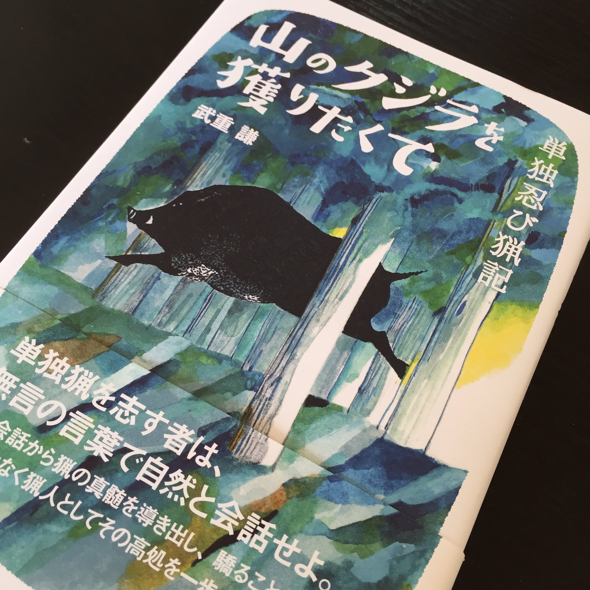 Tweets With Replies By やまくじ 山のクジラを獲りたくて Yamakuji Jp Twitter