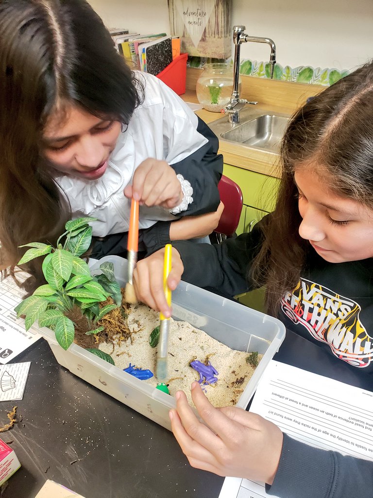 We spent our Friday digging for fossils!🦖🦕🐚