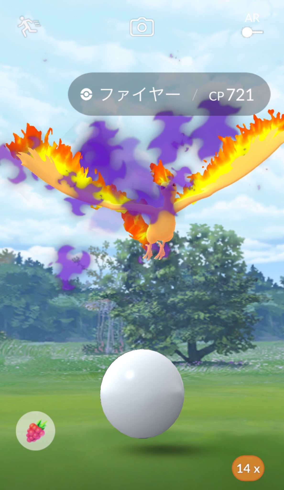 ポケモンgo攻略情報 ポケマピ 前月のスーパーロケットレーダーを持ち越した場合 前月の伝説シャドウポケモンが出現します 例 年1月のスーパーロケットレーダーからはシャドウファイヤーが出現します 年2月にシャドウライコウを2匹ゲットする ポケモンgo攻略情報 ポケマピ 前月のスーパーロケットレーダーを持ち越した場合 前月の伝説シャドウポケモンが出現します 例 年1月のスーパーロケットレーダーからはシャドウファイヤーが出現します 年2月にシャドウライコウを2匹ゲットする