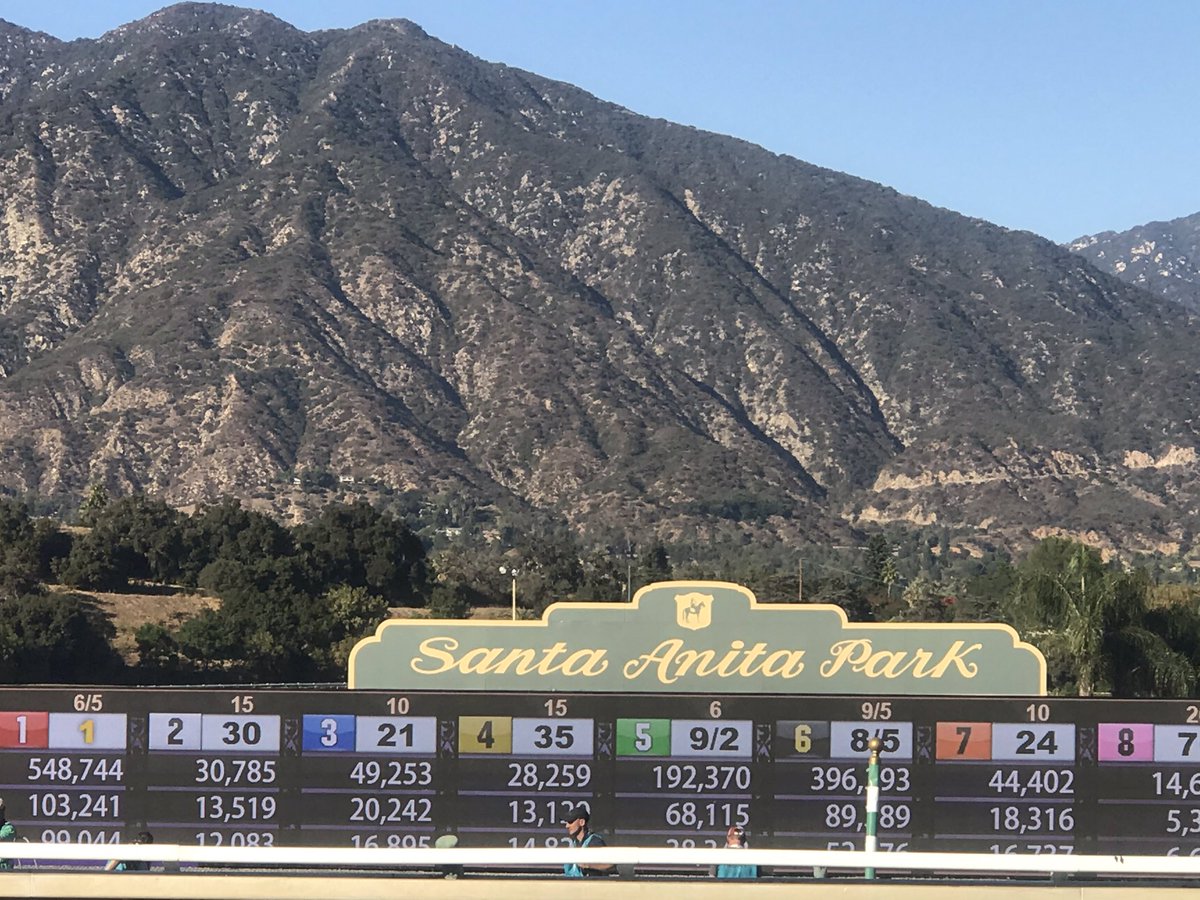 SportzBrew's tweet photo. Can Tizamagician pull a rabbits out of the hat in Bob Lewis Stakes ???@santaanitapark #bigstepup @VictorEspinoza @NTRA https://t.co/T2s00eRtie
