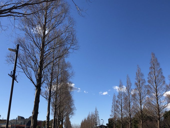 Lonely Soldierさん の人気ツイート 1 Whotwi グラフィカルtwitter分析