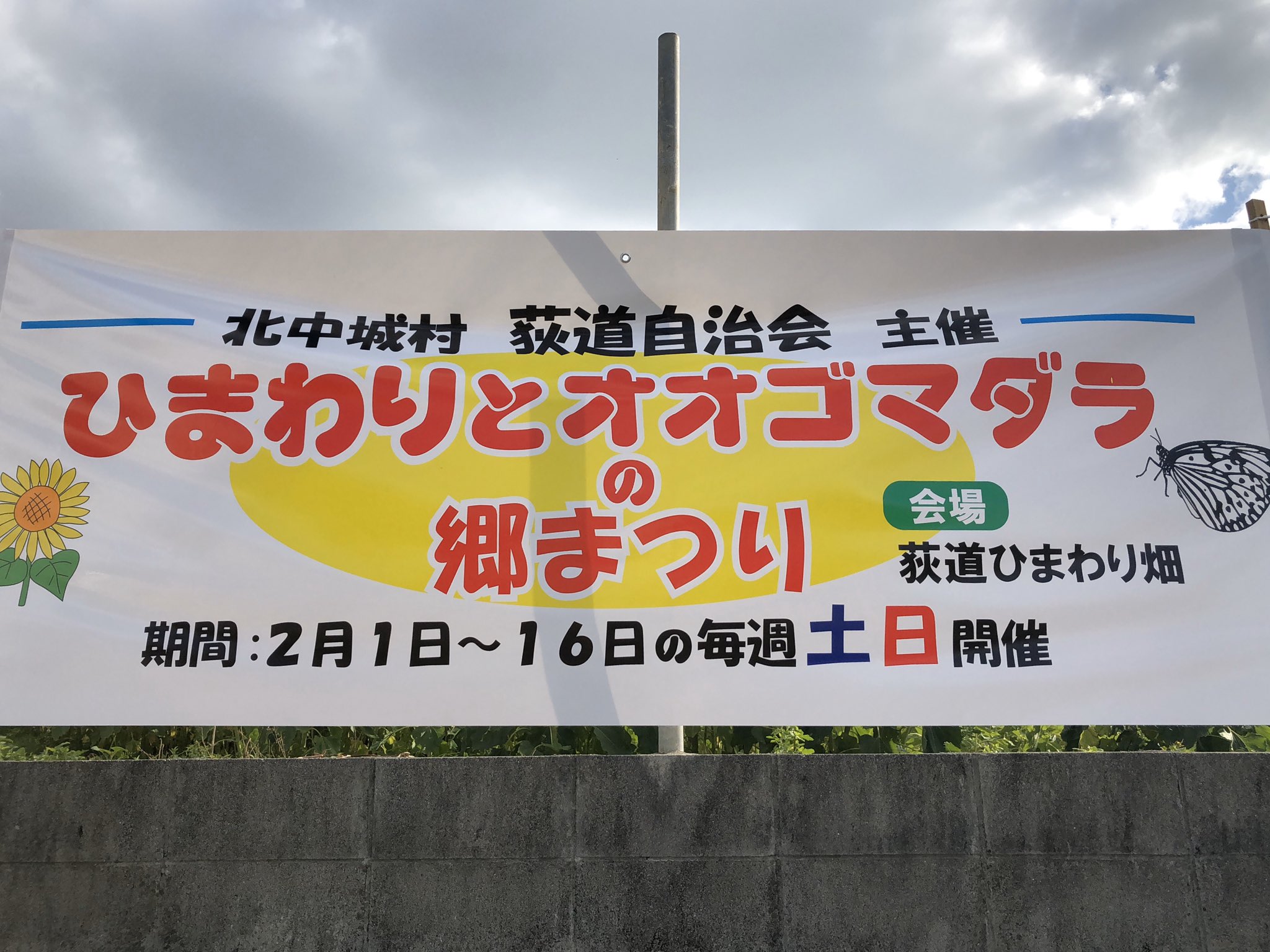 南の島のこたろー 写真用 ひまわり畑とコスモス畑があるのは沖縄県北中城村荻堂 自治会が主催されてます 沖縄 北中城 ひまわり コスモス 南の島のこたろー 写真用 ひまわり畑とコスモス畑があるのは沖縄県北中城村荻堂 自治会が主催されてます 沖縄 北中城 ひまわり コスモス