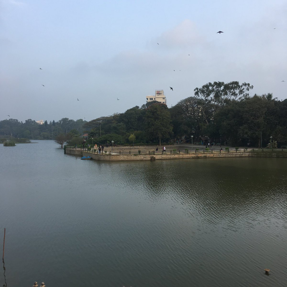 Nithin's tweet image. 6:57 AM: Half Marathon at an average HR of 140 BPM. To think that just on Dec 24th I had done the same at an average pace of 5:30 mins/km tells you a thing or two about fitness, it’s merciless. #FML

#Runners360 #HRbasedrun #180method #MAFmethod  #pegasusturbo2 #nikerunning