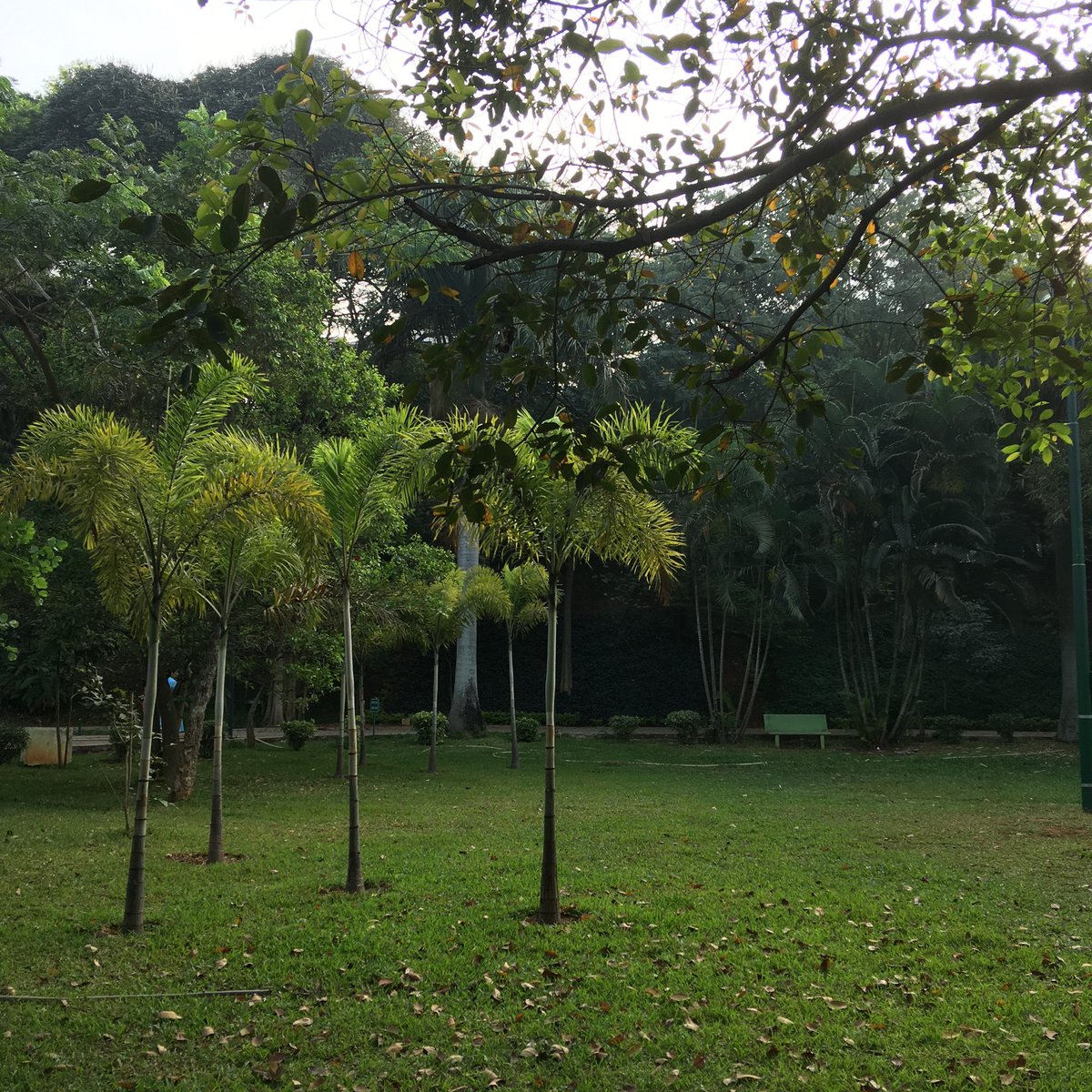 Nithin's tweet image. 6:57 AM: Half Marathon at an average HR of 140 BPM. To think that just on Dec 24th I had done the same at an average pace of 5:30 mins/km tells you a thing or two about fitness, it’s merciless. #FML

#Runners360 #HRbasedrun #180method #MAFmethod  #pegasusturbo2 #nikerunning