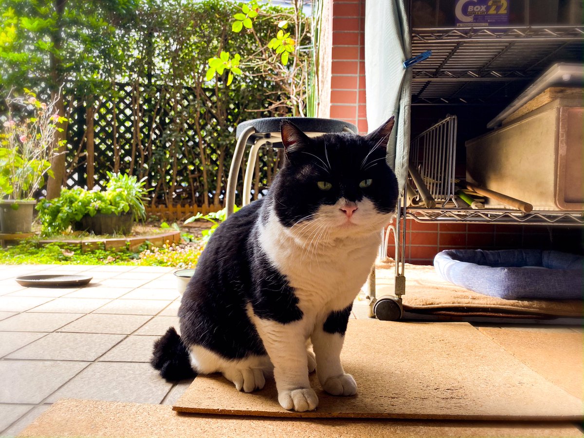 もう花粉飛んでる Twitter Search