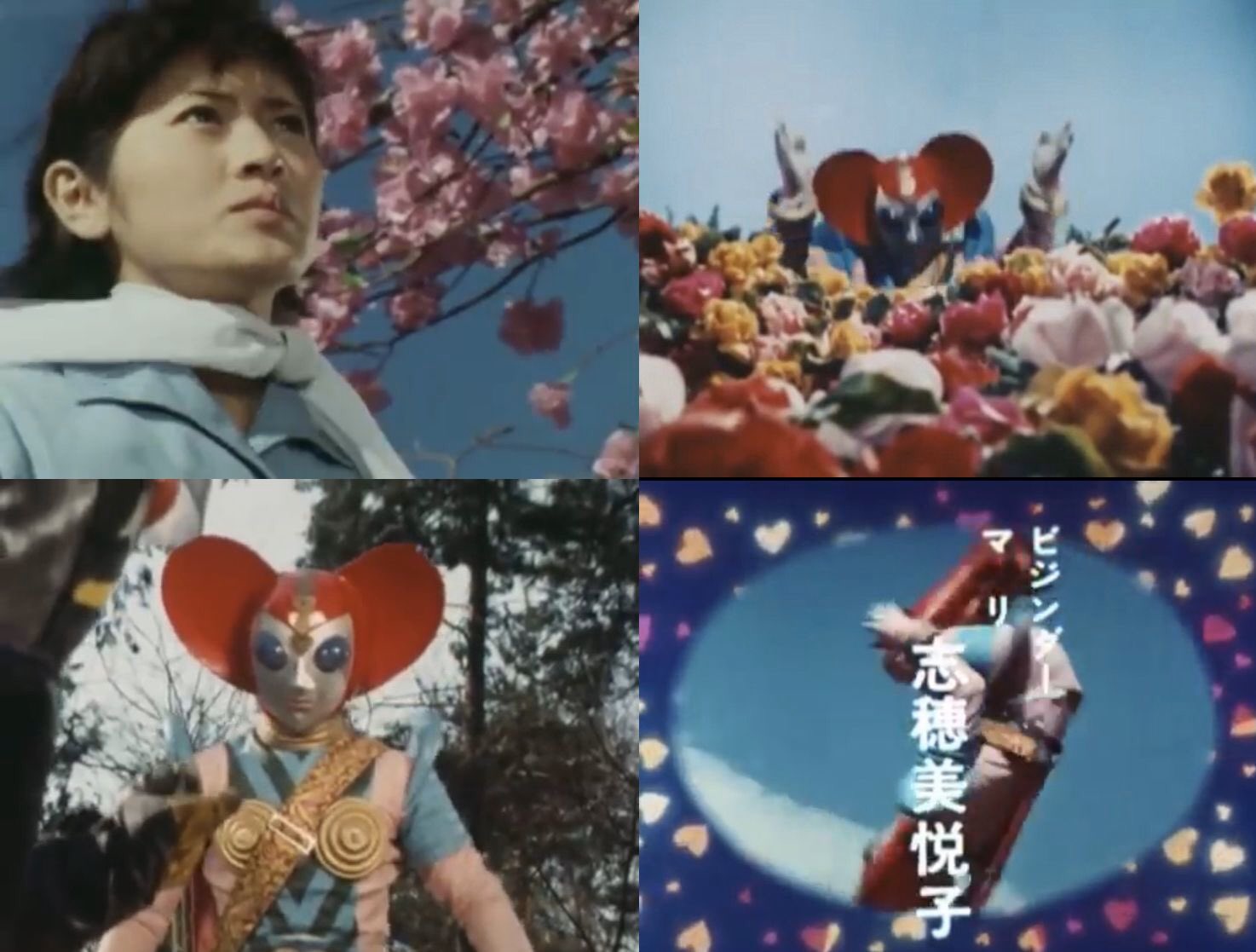 ビジンダーマリ 