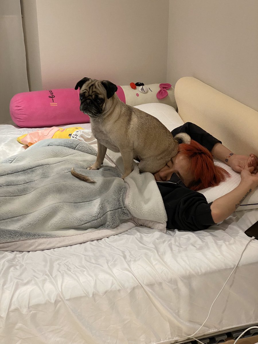 勘弁してほしい