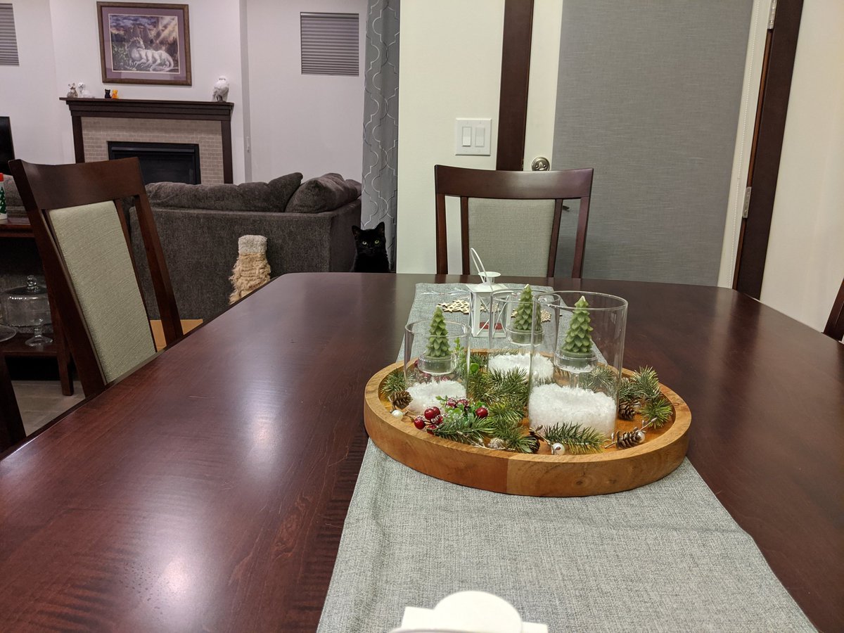 From the far end of the table, black cat's head emerges, staring.