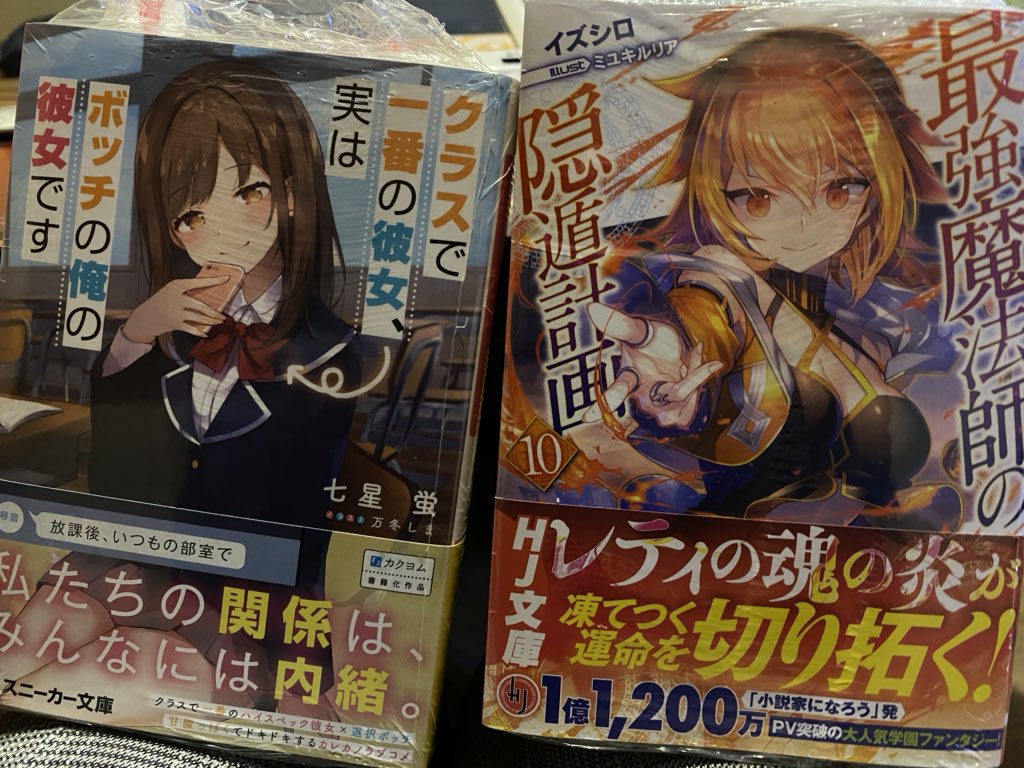最強魔法師の隠遁計画
