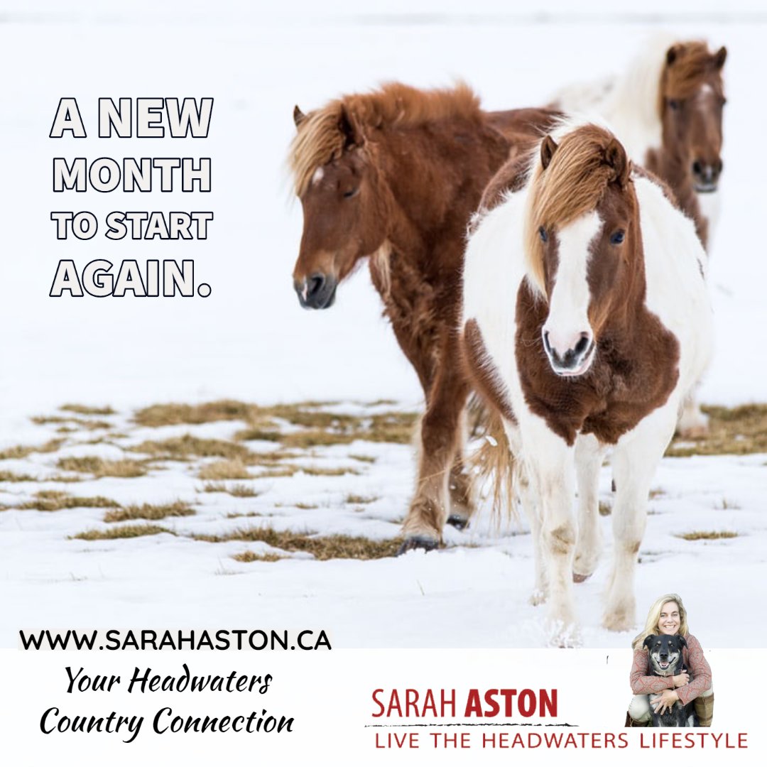 Sarah Aston tweet media
