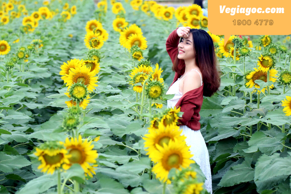 VietjetR's tweet photo. Săn vé máy bay giá rẻ tháng 1 Bamboo Airways, giúp bạn có những chuyến bay thật tiết kiệm, với rất nhiều vé giá rẻ vé khuyến mãi tháng 1 được áp dụng. 
https://t.co/zD0xa5P9c2 https://t.co/aw1B9Lf0Ku